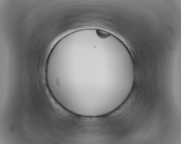 X0000112911534200909141240