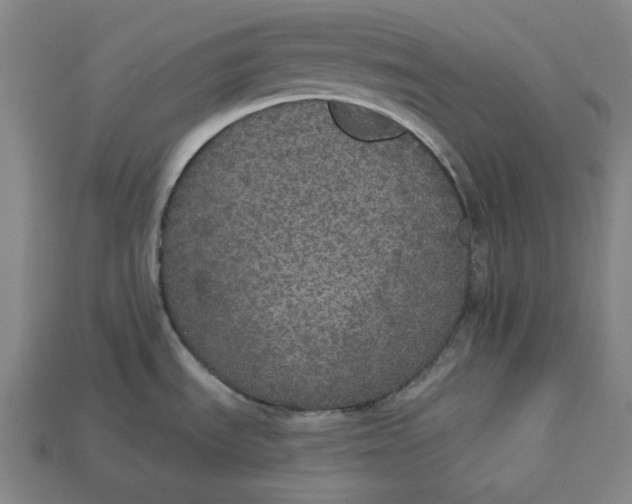 X0000112911535200909141240