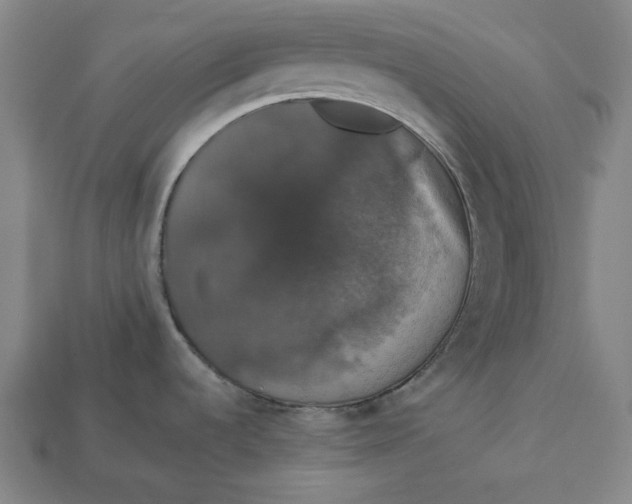 X0000112911536200909141240