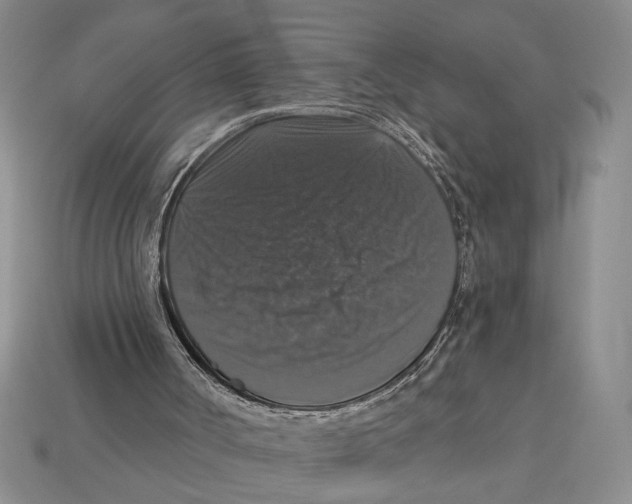 X0000112910002200909211041