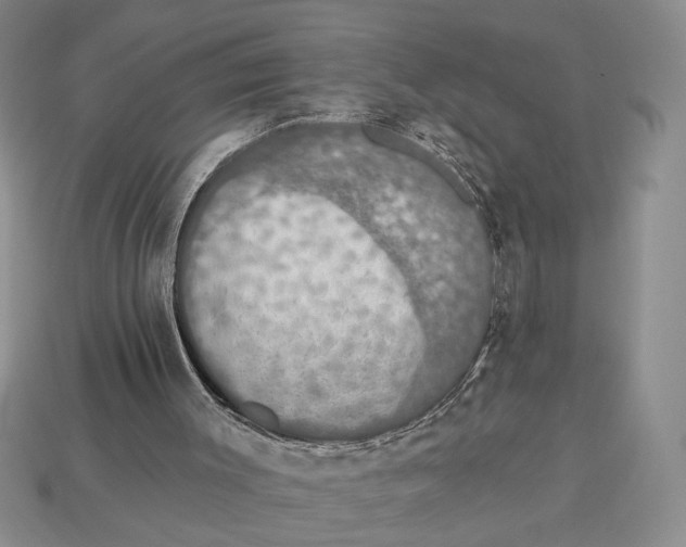X0000112910003200909211041