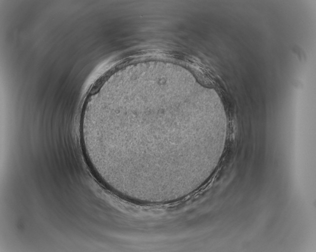 X0000112910004200909211041