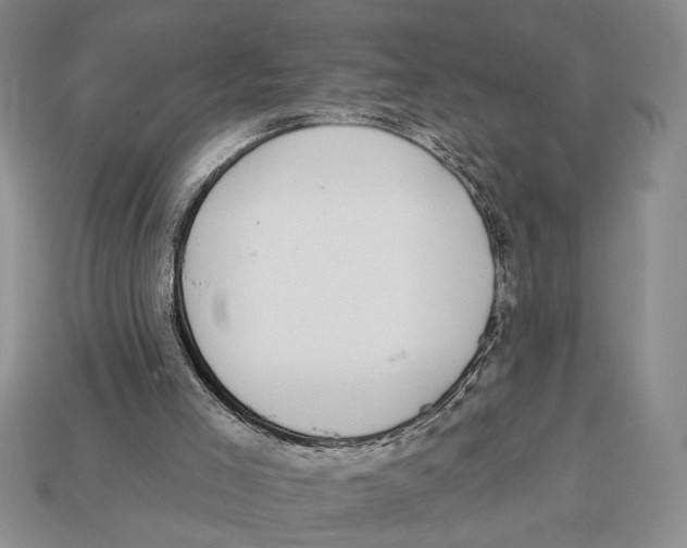 X0000112910005200909211041