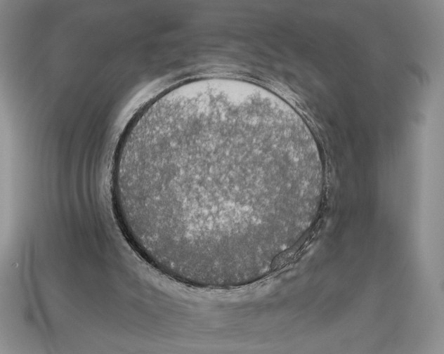 X0000112910007200909211041