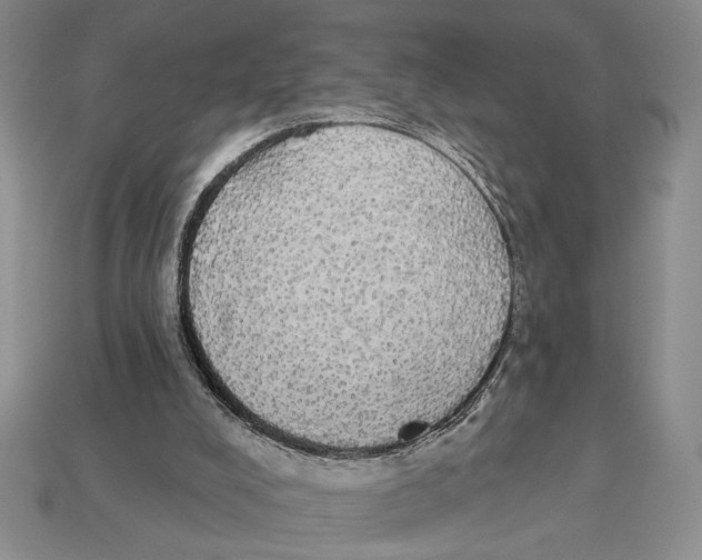 X0000112910008200909211041