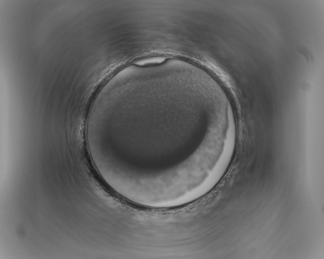 X0000112910009200909211041