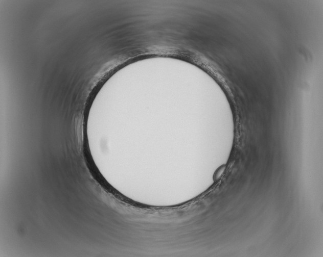 X0000112910011200909211041