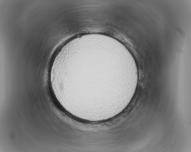 X0000112910012200909211041