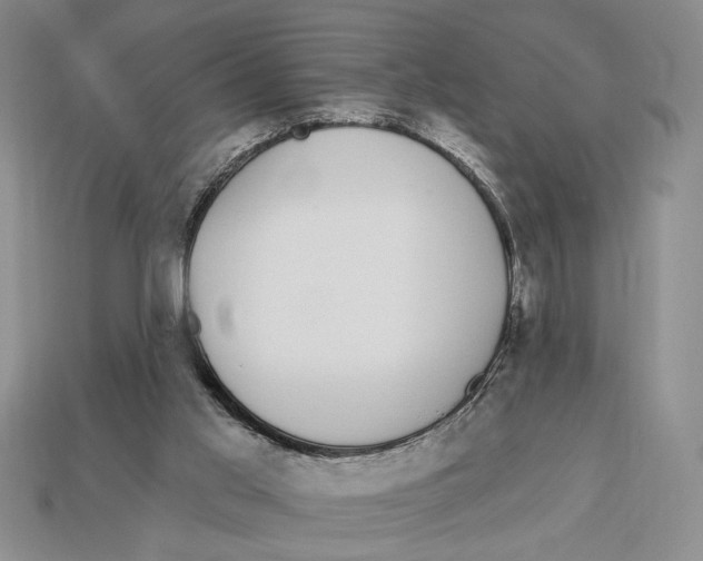 X0000112910013200909211041
