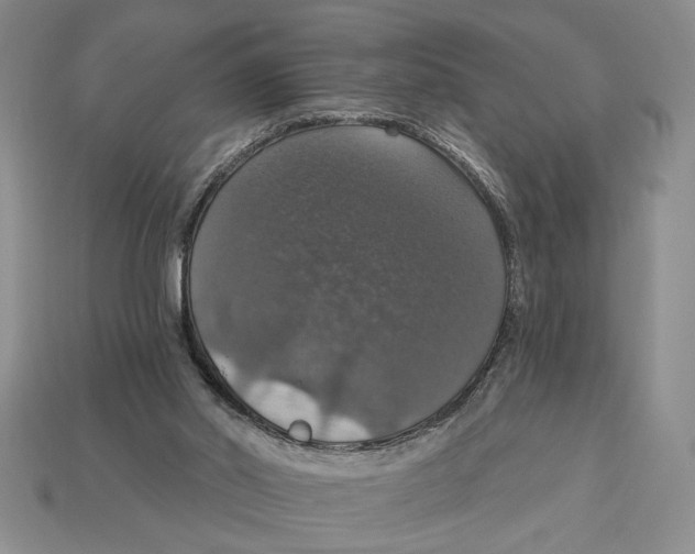 X0000112910014200909211041
