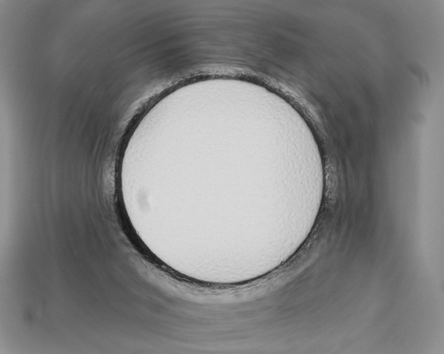 X0000112910015200909211041