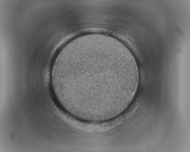 X0000112910016200909211041