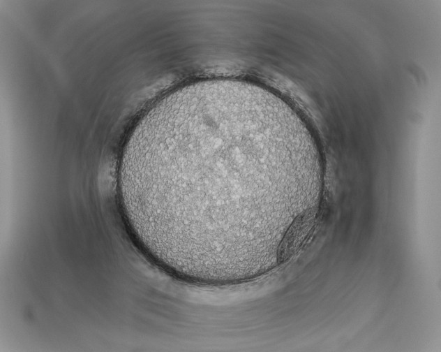 X0000112910017200909211041