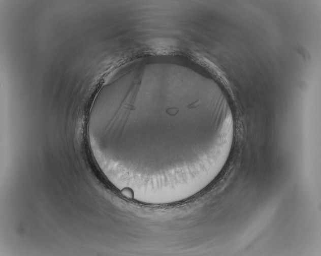 X0000112910018200909211041