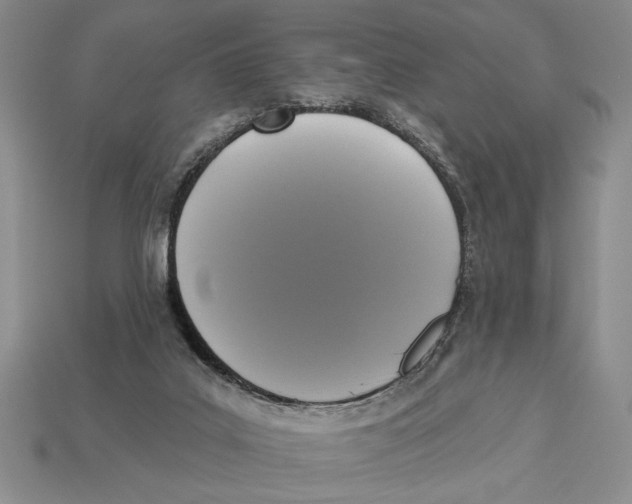 X0000112910019200909211041