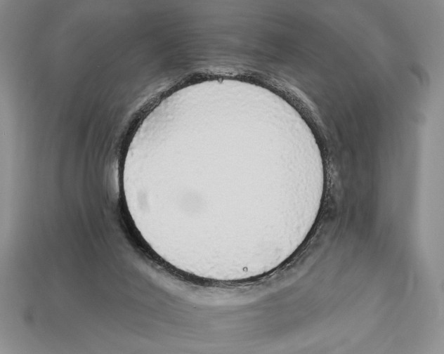 X0000112910020200909211041