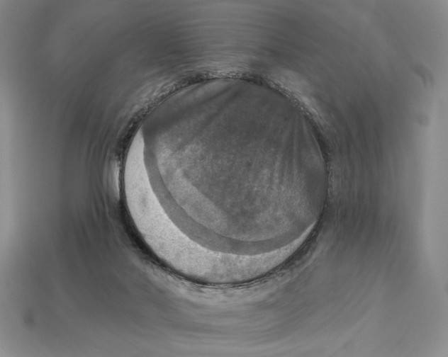 X0000112910022200909211041