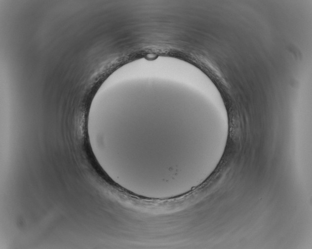 X0000112910023200909211041