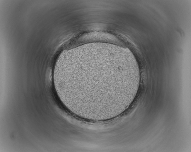 X0000112910024200909211041