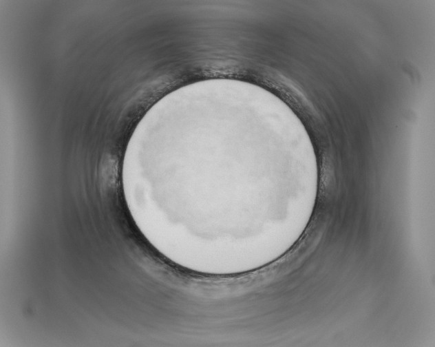 X0000112910025200909211041