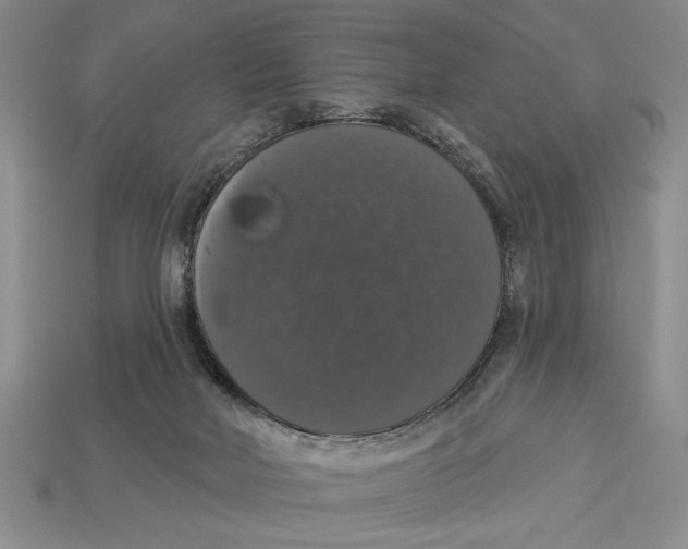 X0000112910026200909211041