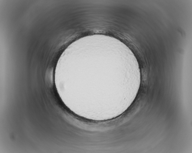 X0000112910028200909211041