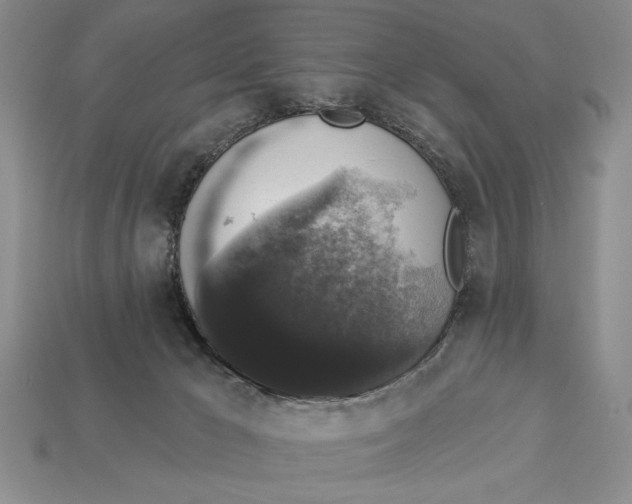 X0000112910029200909211041