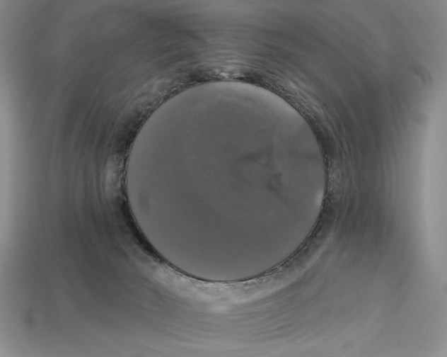 X0000112910030200909211041