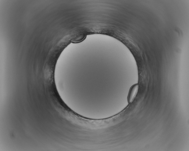 X0000112910031200909211041