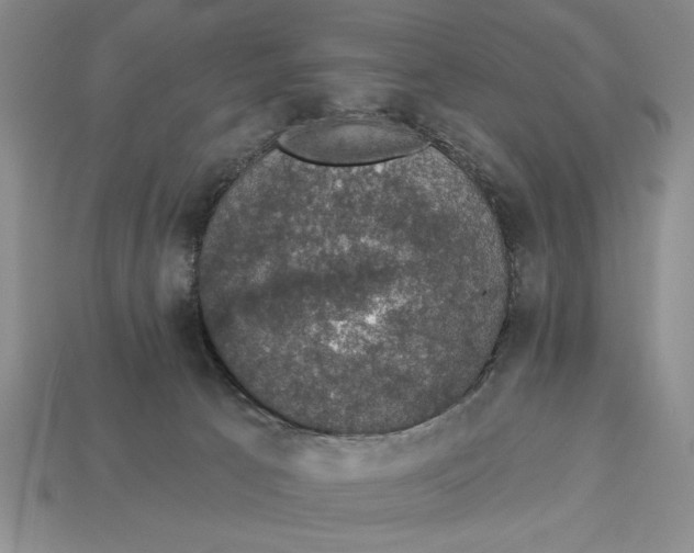 X0000112910033200909211041