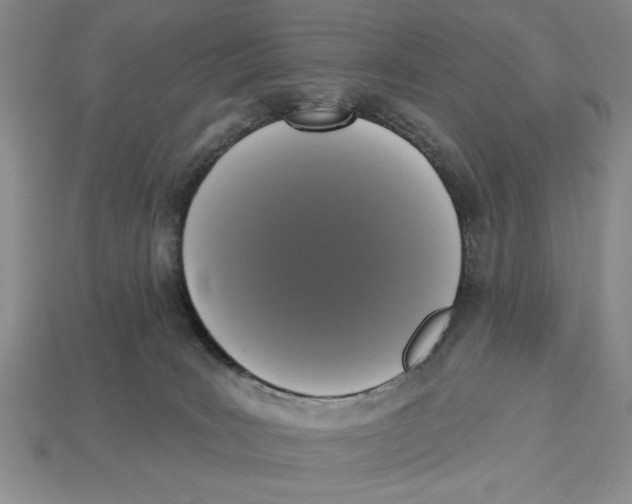 X0000112910035200909211041