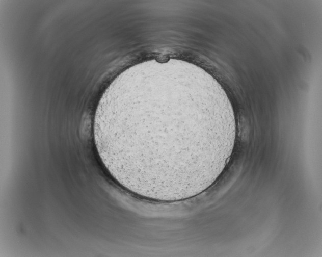 X0000112910036200909211041