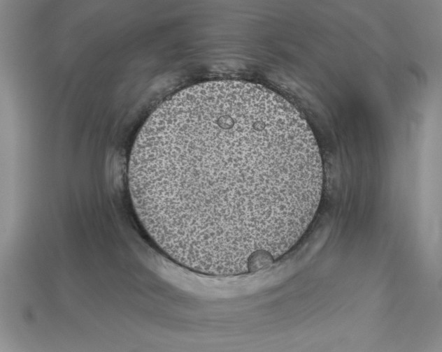 X0000112910038200909211041