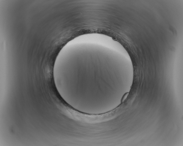 X0000112910039200909211041