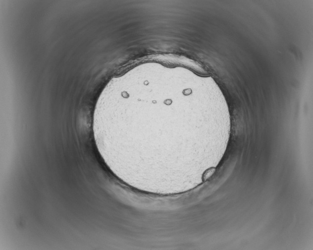 X0000112910040200909211041