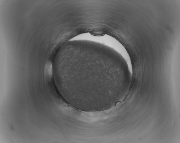 X0000112910041200909211041