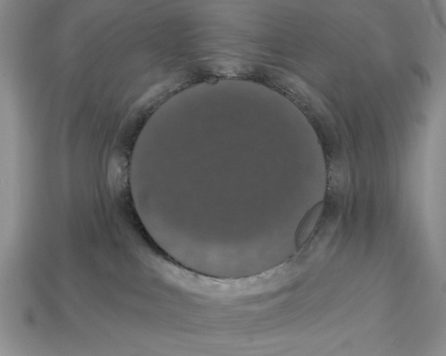 X0000112910043200909211041