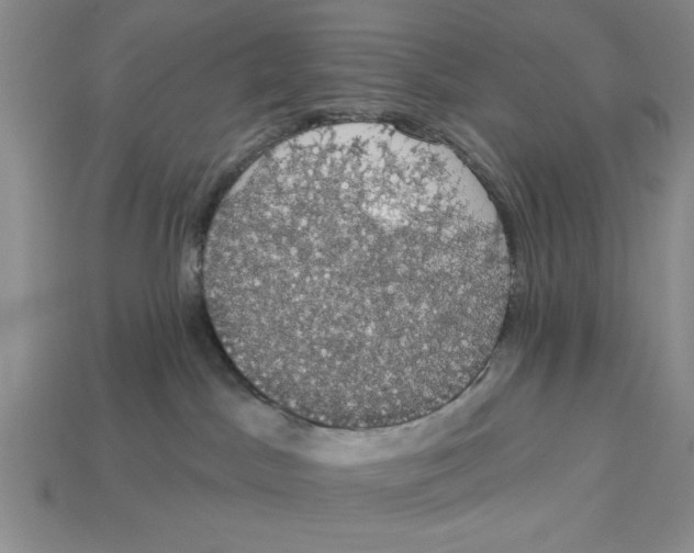 X0000112910045200909211041