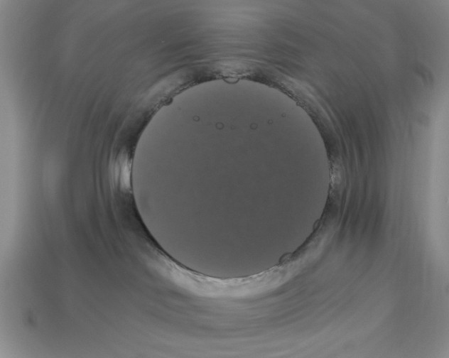 X0000112910046200909211041