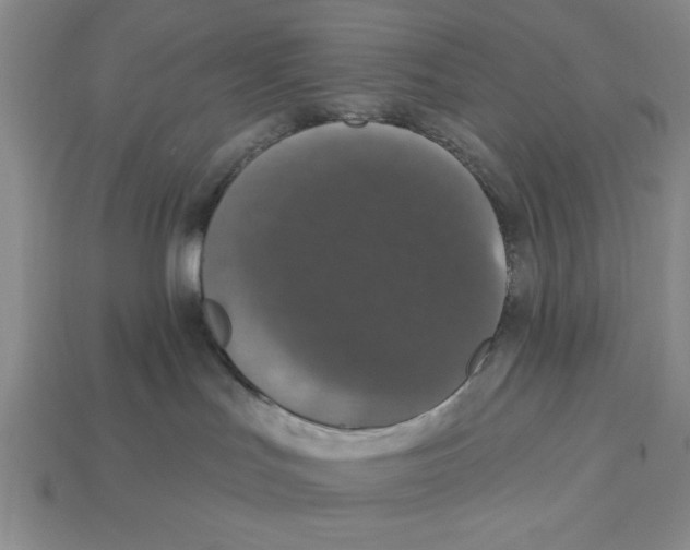 X0000112910047200909211041