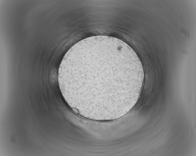 X0000112910048200909211041