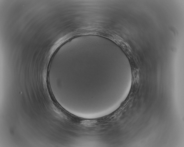 X0000112910051200909211040
