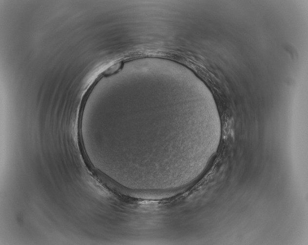 X0000112910052200909211040