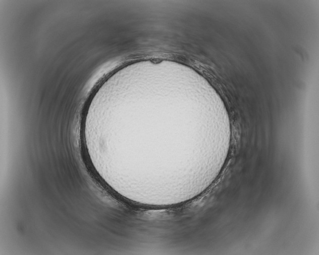 X0000112910054200909211040