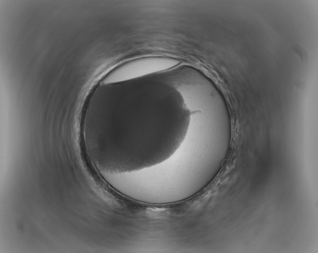 X0000112910055200909211040