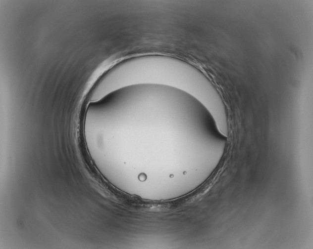 X0000112910056200909211040