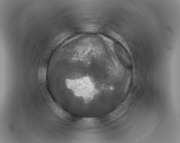 X0000112910057200909211040