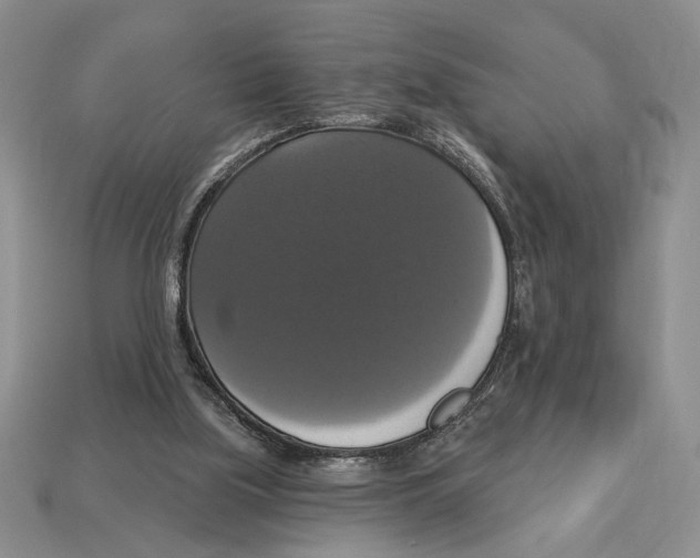 X0000112910059200909211040