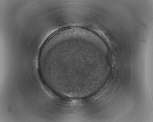 X0000112910060200909211040