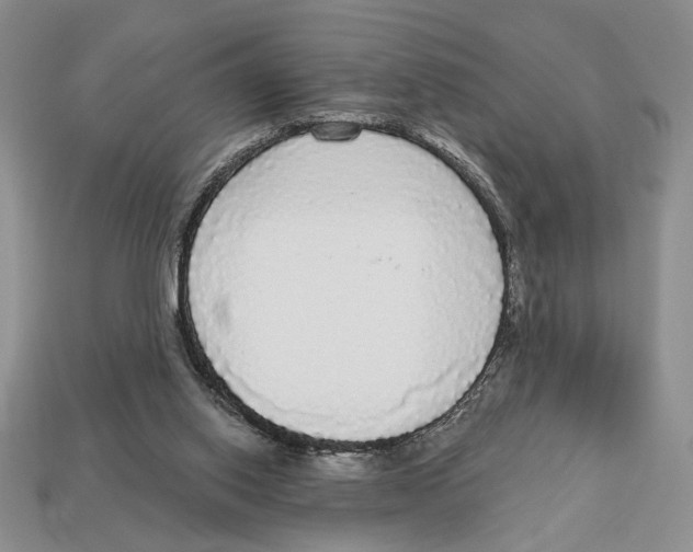 X0000112910062200909211040